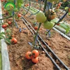drip irrigation tape for greenhouse