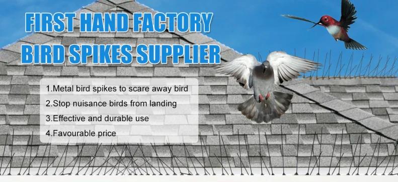 bird spikes
