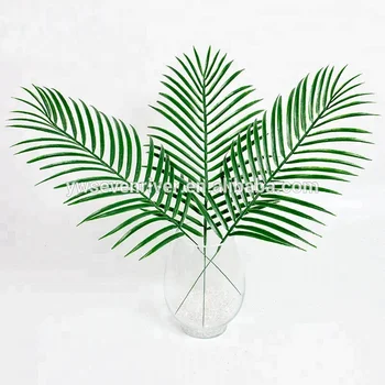 800+ Gambar Daun Tropis HD Terbaru 800+ Gambar Daun Tropis HD Terbaru