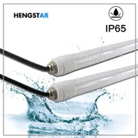 IP65 T8 related.jpg