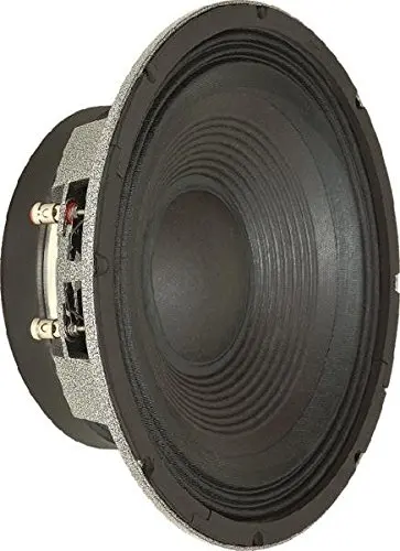 selenium 10 inch speaker