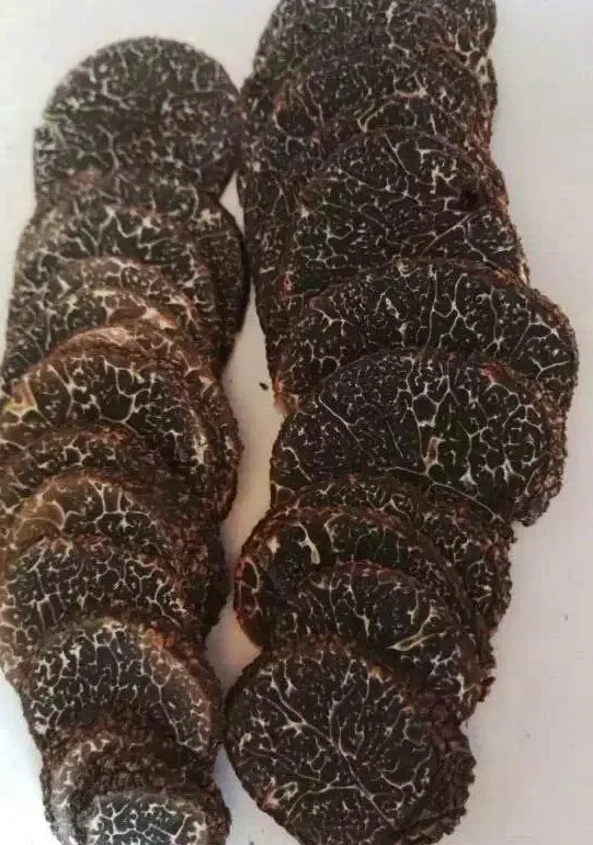 Detan Fresh Tuber Indicum Magnatum Truffle Buy Tuber Indicum Magnatum