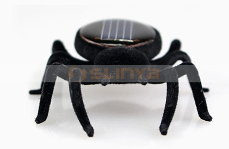 Solar spiders 8032 150108 (6).jpg