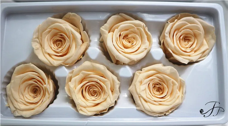 
Long lasting A grade 5-6 CM Ivory Real Preserved Flowers Roses Head for Home Decor 