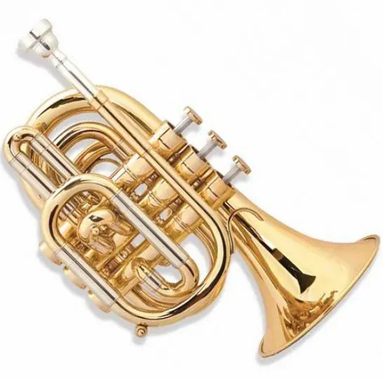 
FPT-300L Quality Assured Brass Instrument Cheap Pocket Trumpet for Sale 