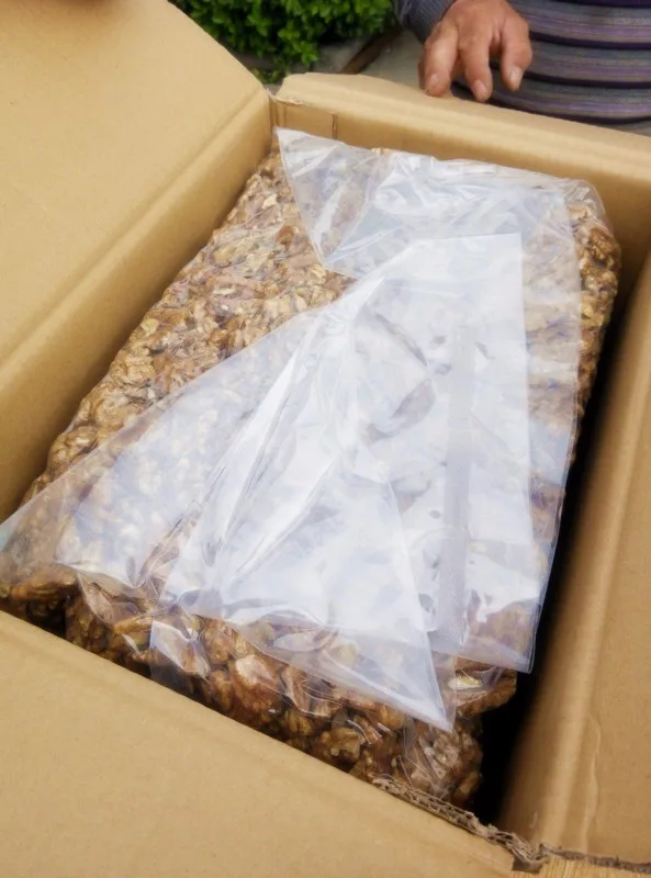 Hot selling Chinese xinjiang walnut kernel shelled light halves