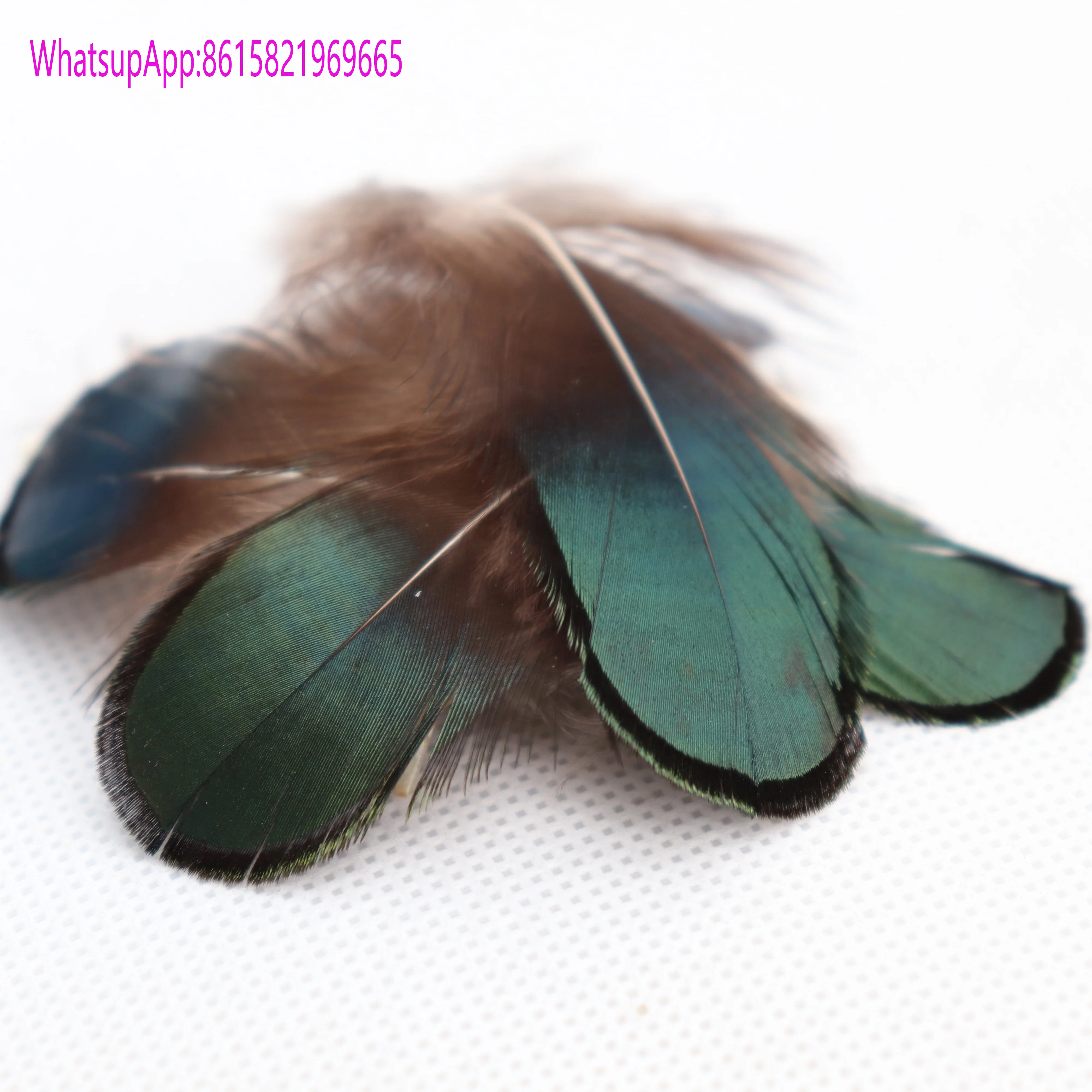 
Cheap Pheasant Feather Peacock Head Feather 