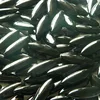 Factory price black onyx stone marquise beads
