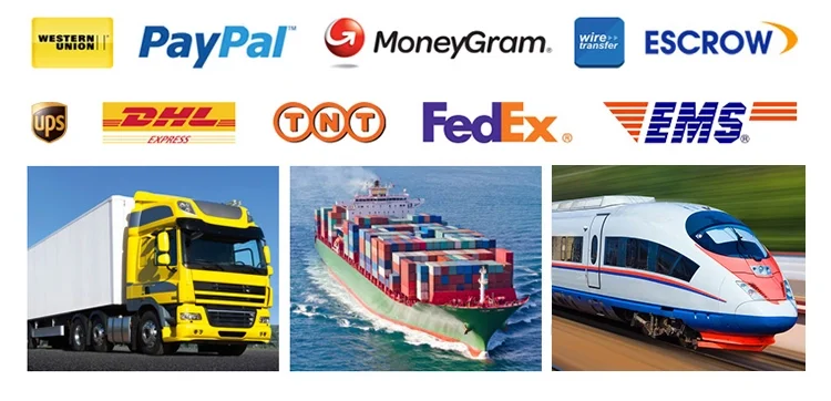 paste-pic-dp_uuid_dmdbk