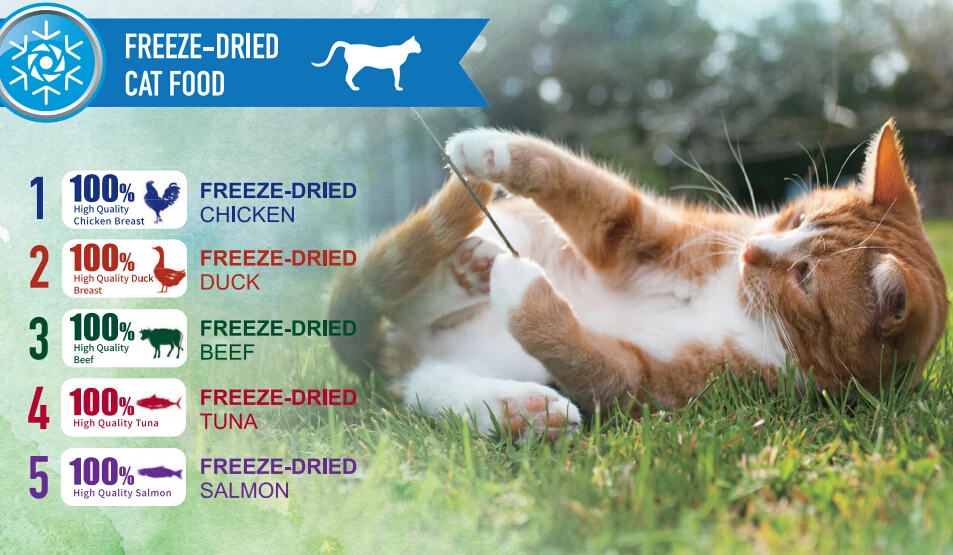 FD CAT FOOD.jpg