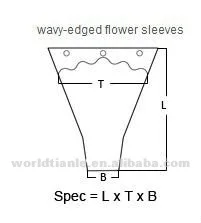 Y schallop shape.jpg