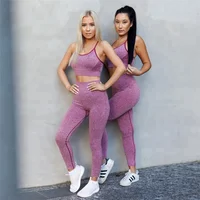 

Long Line Bra and Pants Sports Wear Women Fitness Set Clothing