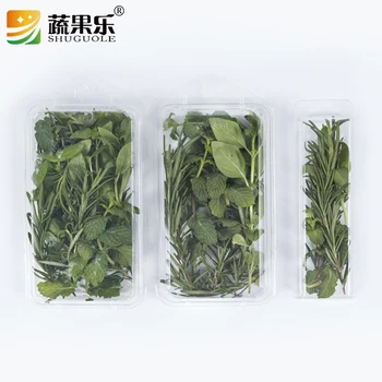 plastic herb containers