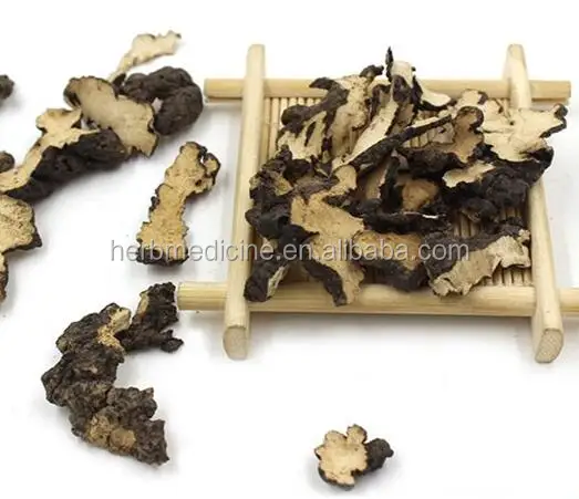 
Dried natural Grifola wild Polyporus umbellatus whole part use as herbal medicine sulphur free 