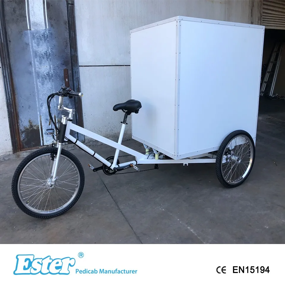 Strong Enclosed Box Cargo Tricycle,Express Mail Delivery Tricycle Buy Van Cargo Tricycle,Cabin