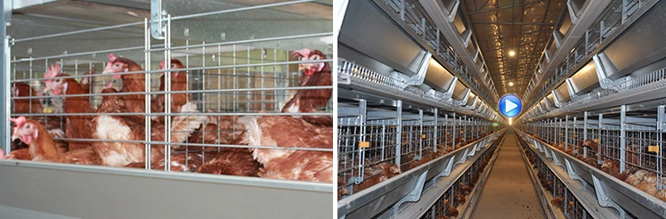 H Type Layer Cage.jpg