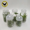 Tissue culture vessels jar & Nutrient solution bottle