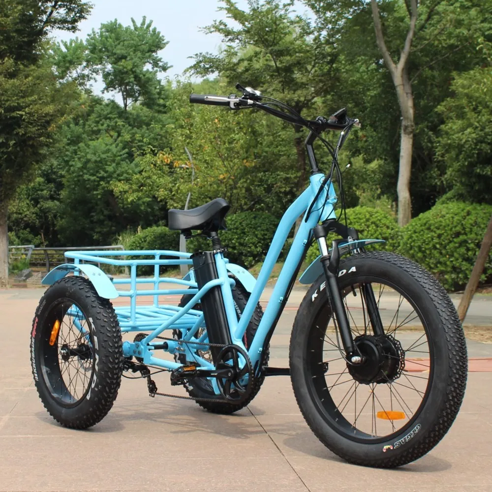 2019 500w 750w 3 Wheel Fat Tire Electric Cargo Bike Tricycle With Cheap Price Mf 601 Buy 3