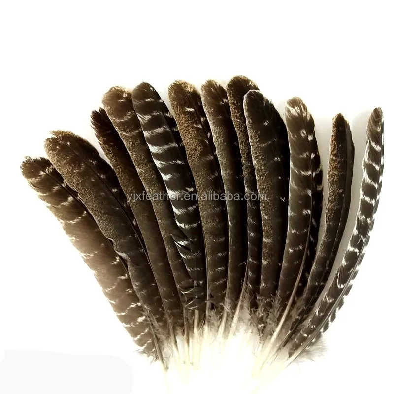 6 Pieces Brown Turkey Round Wing Quill