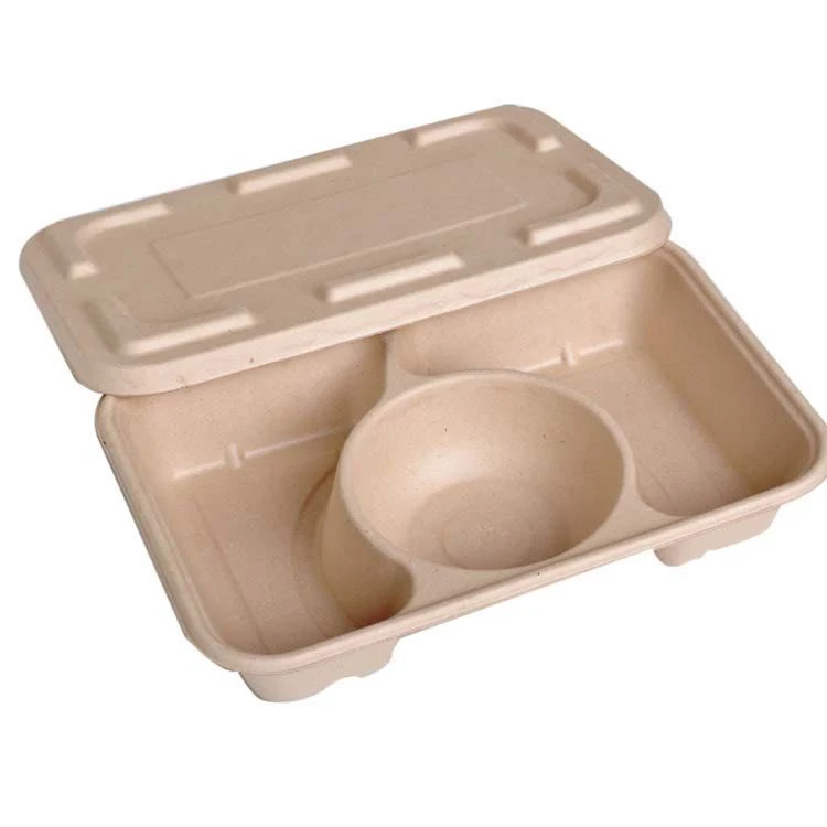 Biodegradable Take Away Disposable Catering Bento Lunch Box 3
