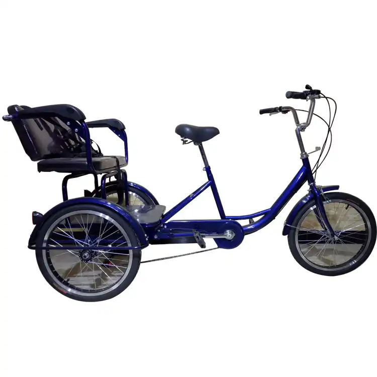 10 speed tricycle