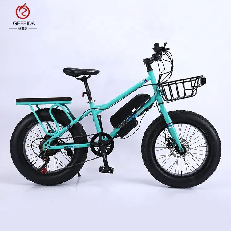 two wheeler bicycle