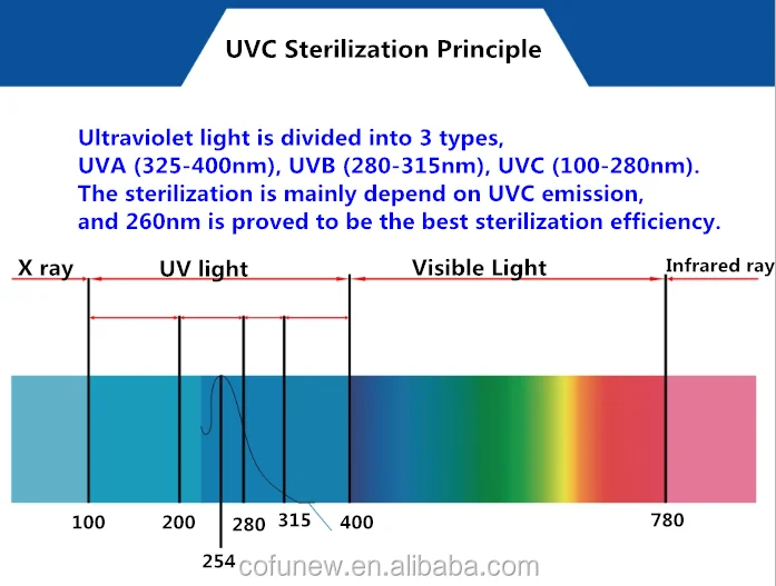 UV LIGHT CURVE
