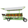 Adult Pedal Electric Beer Bike For Fifteen Person, City Tour 15 Seater Electric 4 Wheel Pub Bike
