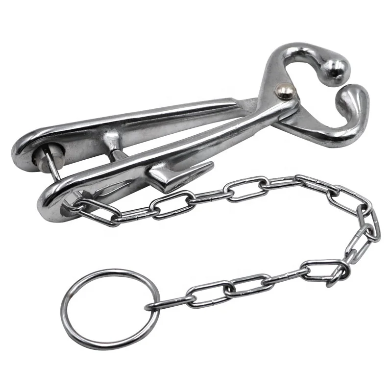 Stainless Steel Cow Nose Pliers With Chain - For Cattle Handling & Veterinary Use