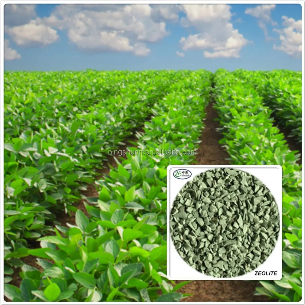 Food Premium Grade Natural Zeolite For Feed Additive 25kg Per Bag