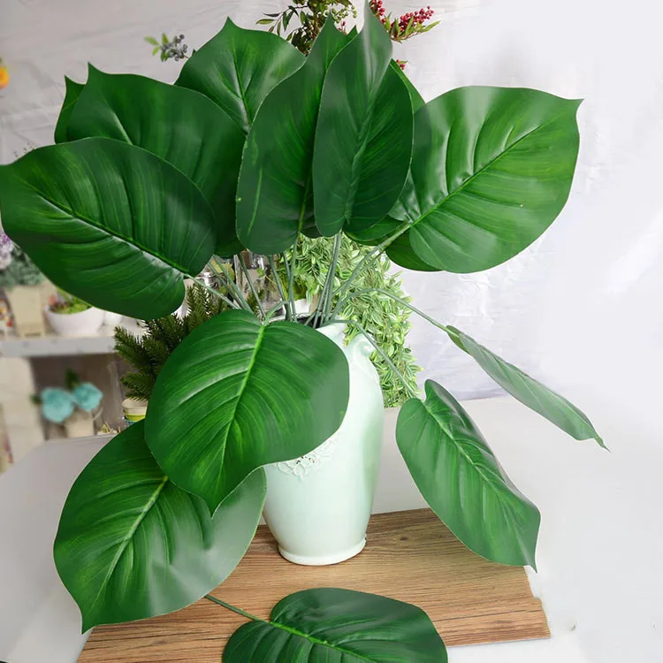 monstera (4).jpg