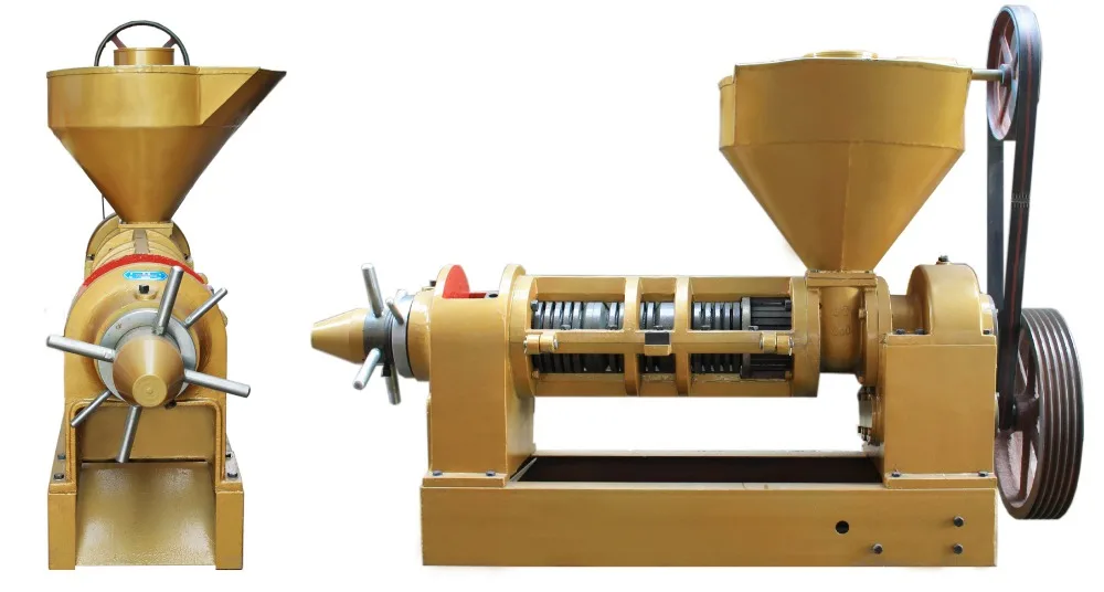Large Type Screw Walnut Oil Extraction Press Shea Nut Oil Pressing