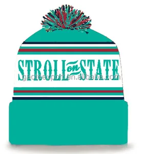 teal green pom pom knit beanie