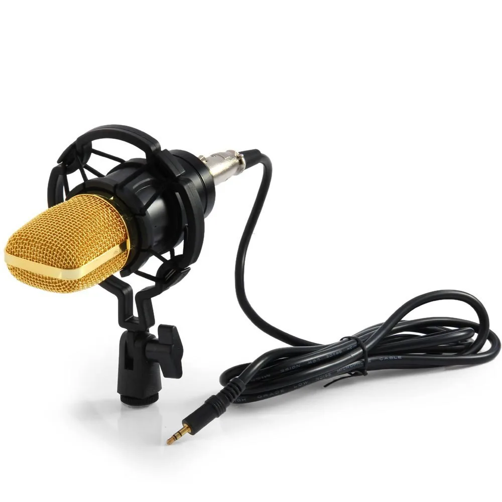 

BM700 Recording Dynamic Condenser Musical Microphone with Shock Mount, Black