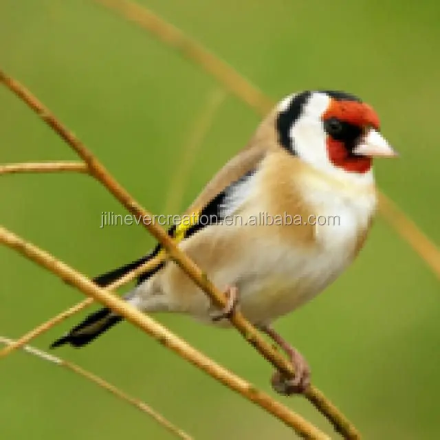 DecoBird Goldfinch