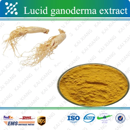 
High Quality Siberian Ginseng Root Extract / Siberian Ginseng Dry extract Manufacturer / Eleutherosides 