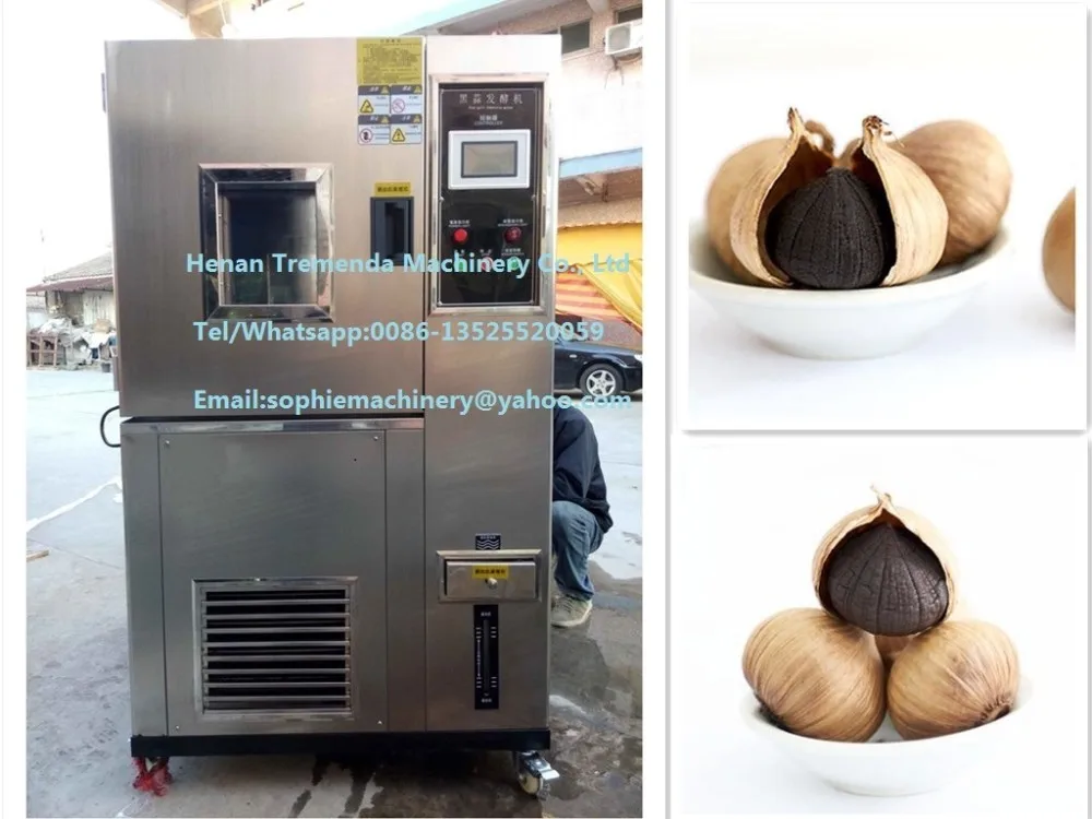 black garlic machine (1).jpg