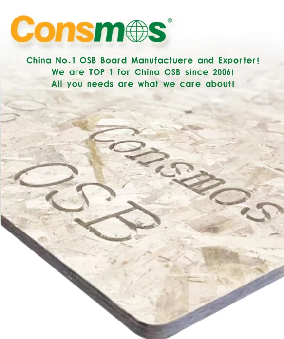 consmos osb no.1.jpg