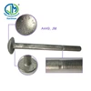 Hot dip galvanized round head pole step bolt