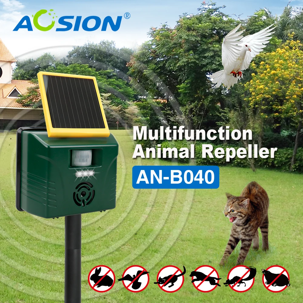 040 1000X1000 -1.jpg