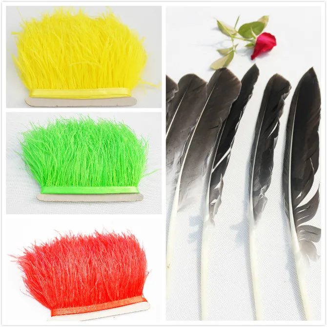 trim and goose feather.jpg