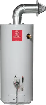 State Select Residential Gas Water Heaters - Direct-vent - Buy Gas ...