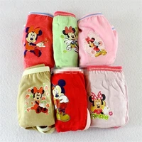 

6pcs /lot 2019 new briefs kids young girl underwear models children girls teen girl underwear