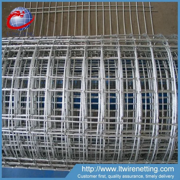 
Anping longteng Heavy duty bird cage welded iron wire mesh for sale 