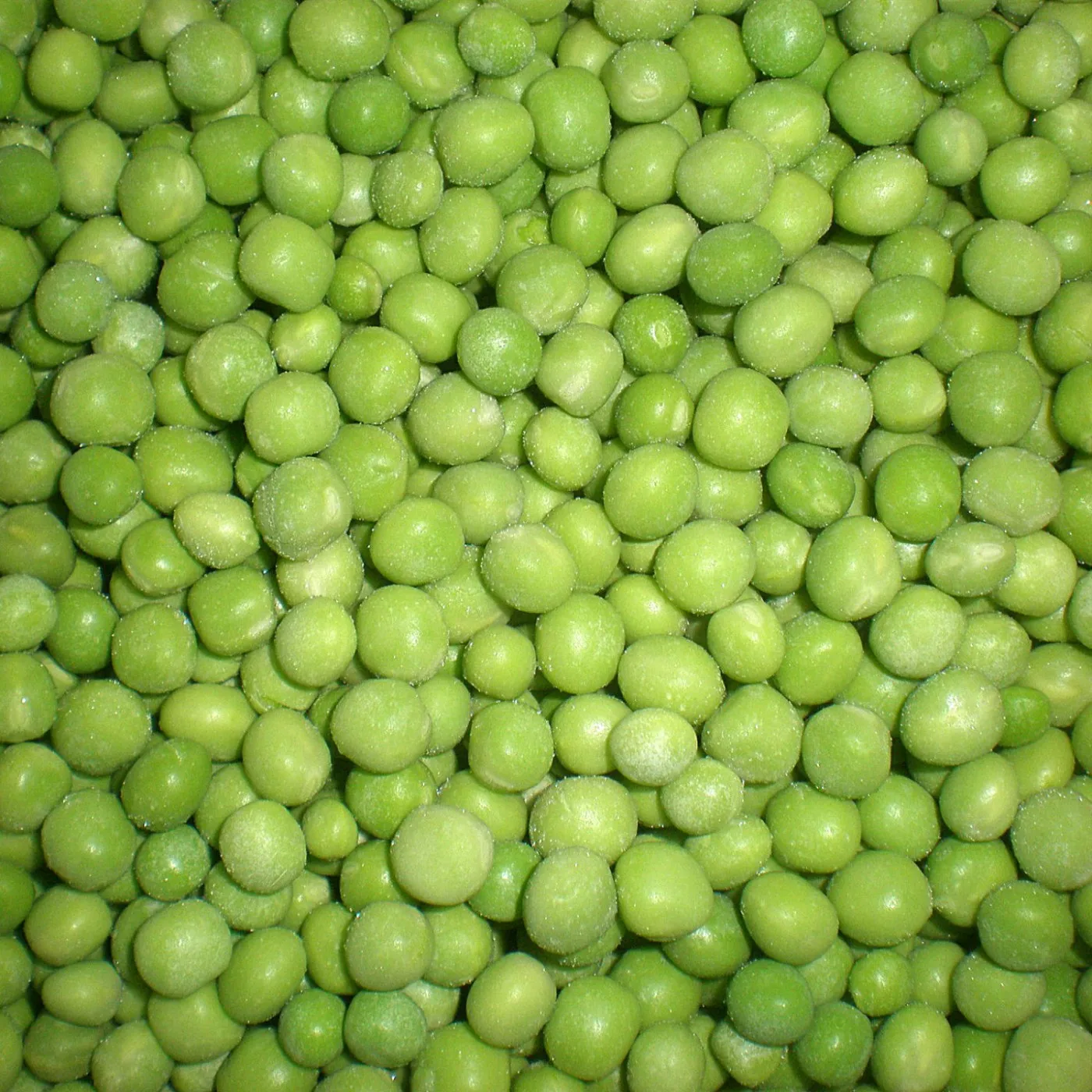 Замороженный горошек. Green Peas горошек. Green Peas IQF. Горошек зеленый жемчуж. Зелёный горошек замороженный.