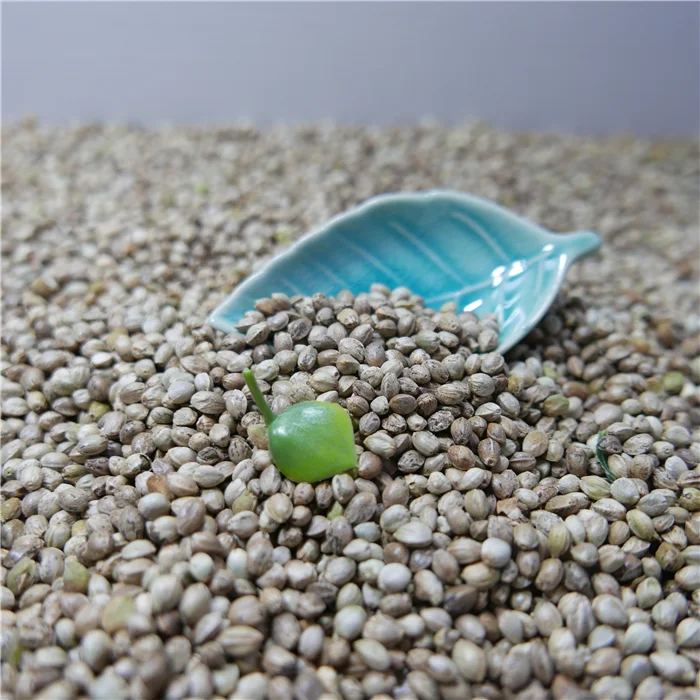 Hemp Seeds Price Unhulled Organic Hemp Seeds On Hot Sale Buy Hemp