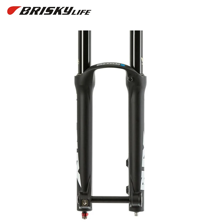 double crown suspension fork