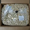 2019 new best grade Pistachio Nuts, Pistachio with and With Shell