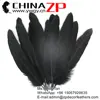 ZPDECOR Top quality Black rare Eagle feathers for sale