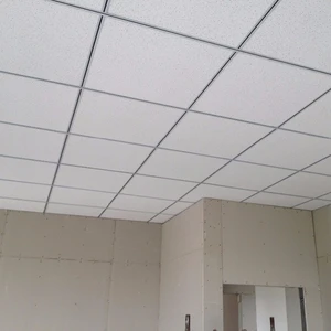 Waterproof Ceiling Tiles 2x4 Wholesale Ceiling Tile